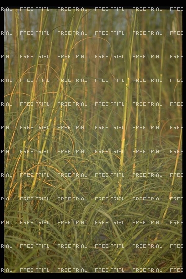 Click to go back